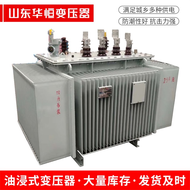S13-10000/35肥东肥东肥东电力变压器厂家